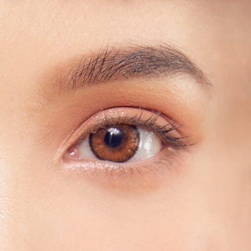 Glamour Brown - Image 2