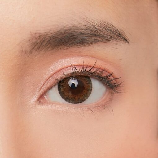 Shimmer Brown - Image 2