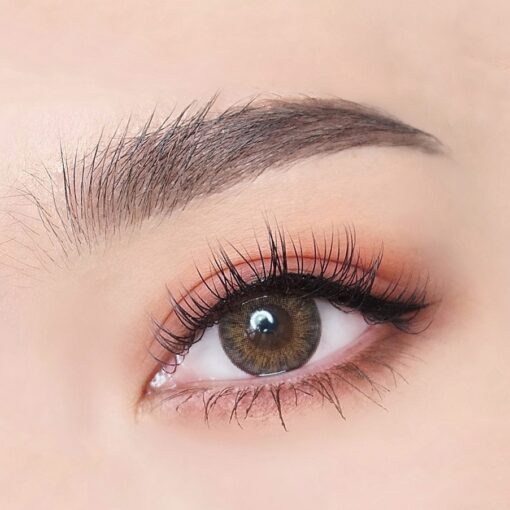 Shimmer Brown - Image 6